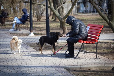 Херсон, погода, сквер, весна, жителі міста, собаки