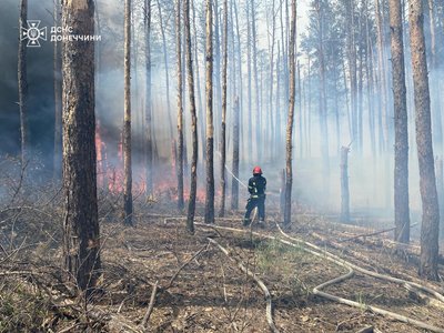 парк "Святі гори" лісові пожежі Національний природний обстріли армія РФ наслідки Святогірськ Донецька область парк "Святі гори" лісові пожежі Національний природний обстріли армія РФ наслідки Святогірськ Донецька область