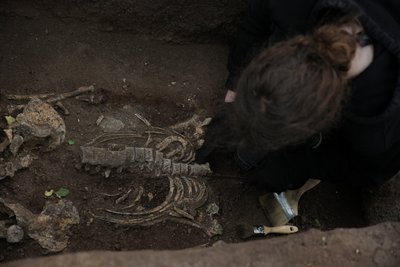 Перстень, намистини, кільця: на Полтавщині під час студентської експедиції знайшли курган часів Русі Перстень, намистини, кільця: на Полтавщині під час студентської експедиції знайшли курган часів Русі