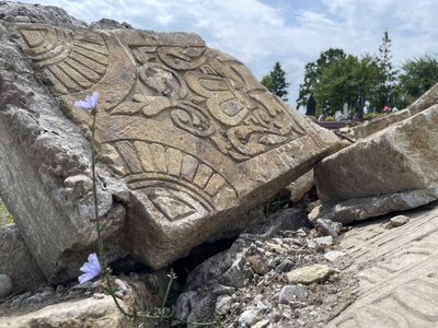 Понад 70 років пролежали під шаром бетону. На Франківщині облаштують меморіал із сотні мацев Понад 70 років пролежали під шаром бетону. На Франківщині облаштують меморіал із сотні мацев