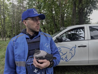 волонтер "Проліски" з вороненям волонтер "Проліски" з вороненям