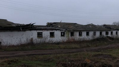 Як виживають ферми на прикордонні Чернігівщини