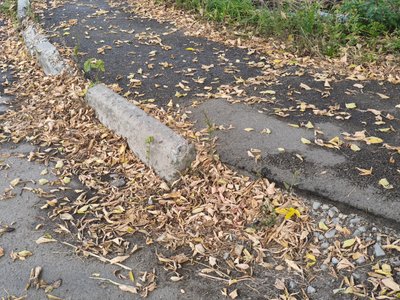 Спалювання листя та сухої трави на Житомирщині: які штрафи передбачені та чим це загрожує Спалювання листя та сухої трави на Житомирщині: які штрафи передбачені та чим це загрожує