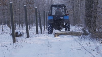 Підгодівля диких тварин Підгодівля диких тварин