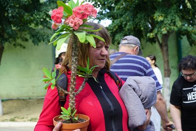 Жителька пошкодженого "Шахедами" будинку в Індустріальному районі Харкова забирає квітку Жителька пошкодженого "Шахедами" будинку в Індустріальному районі Харкова забирає квітку