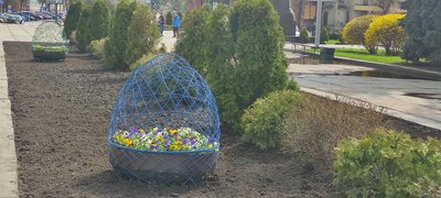 Центр Житомира прикрашають декоративними великодніми кошиками з живими квітами Центр Житомира прикрашають декоративними великодніми кошиками з живими квітами