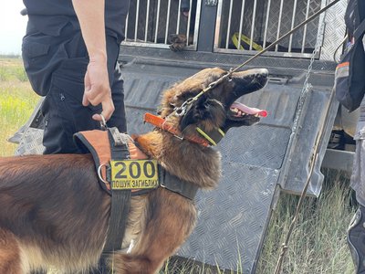 Повернути кожного. Як на Херсонщині працює пошукова група в рамках проєкту "НА ЩИТІ" Повернути кожного. Як на Херсонщині працює пошукова група в рамках проєкту "НА ЩИТІ"