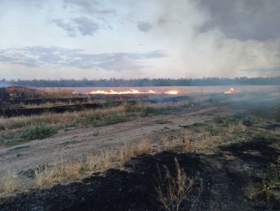 Через дронові атаки горять поля на Херсонщині: в яких умовах збирають урожай зернових Через дронові атаки горять поля на Херсонщині: в яких умовах збирають урожай зернових