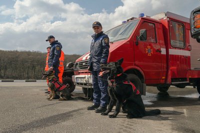 День кінолога, дснс, собаки, тренування собак День кінолога, дснс, собаки, тренування собак