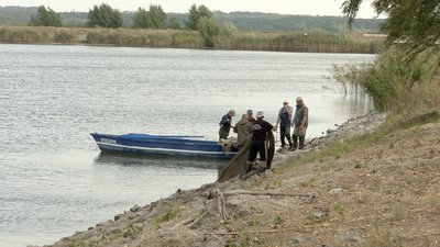 17 мільйонів ікринок на рік в інкубаторі: як на Черкащині працює риборозплідник в умовах відключень світла 17 мільйонів ікринок на рік в інкубаторі: як на Черкащині працює риборозплідник в умовах відключень світла