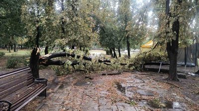 Пошкоджені дахи, повалені дерева, знеструмлені громади: наслідки грози на Кіровоградщині Пошкоджені дахи, повалені дерева, знеструмлені громади: наслідки грози на Кіровоградщині
