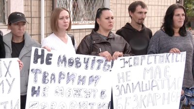 У Кіровоградській області допитали потерпілу у справі про вбивство собаки