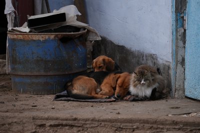 фотодобірка фотодобірка