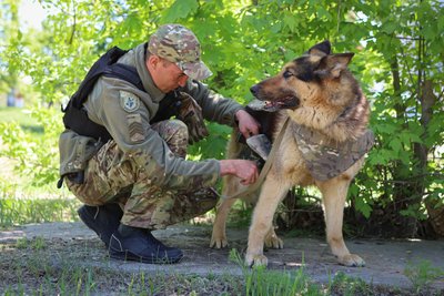 Чотирилапі герої: як собаки допомагають поліції Херсонщини під час війни Чотирилапі герої: як собаки допомагають поліції Херсонщини під час війни