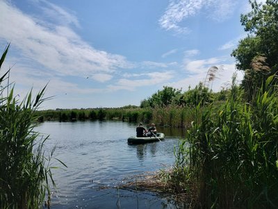 У Житомирі на поверхню річки Крошенка масово спливла риба У Житомирі на поверхню річки Крошенка масово спливла риба