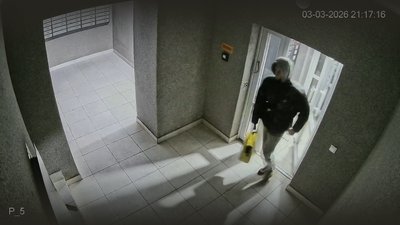 "Тепер я собача мама": чернігівка прихистила десятьох цуценят, яких підкинули у ліфт багатоповерхівки "Тепер я собача мама": чернігівка прихистила десятьох цуценят, яких підкинули у ліфт багатоповерхівки