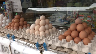 Ціна на яйця в Житомирі: скільки коштує десяток на Житньому ринку та чому подорожчають Ціна на яйця в Житомирі: скільки коштує десяток на Житньому ринку та чому подорожчають