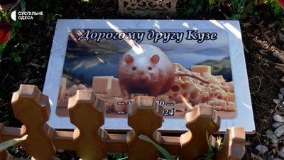 В Одесі посеред парку розростається стихійне кладовище домашніх тварин: відео В Одесі посеред парку розростається стихійне кладовище домашніх тварин: відео