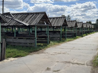 Коли відновлять роботу Сорочинського ярмарку на Полтавщині Коли відновлять роботу Сорочинського ярмарку на Полтавщині
