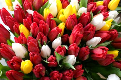41 тюльпан для коханої: скільки одесити витрачають на квіти до Дня святого Валентина 41 тюльпан для коханої: скільки одесити витрачають на квіти до Дня святого Валентина