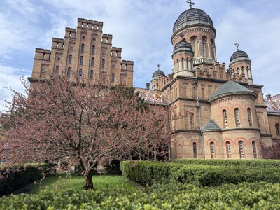 "Залежить від сорту": чому у Чернівцях ще не зацвіли усі сакури