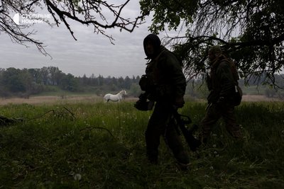 білий кінь підійшов до позиції, де бійці готують гармату до пострілу Сліпа лють УДА Вовчанськ білий кінь підійшов до позиції, де бійці готують гармату до пострілу Сліпа лють УДА Вовчанськ