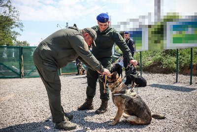 На Одещині нагородили вівчарку Кіру медаллю "За віддану службу" На Одещині нагородили вівчарку Кіру медаллю "За віддану службу"