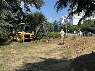 Кедри в Ужгороді врятував розголос. Але чи не загинуть вони згодом? Кедри в Ужгороді врятував розголос. Але чи не загинуть вони згодом?