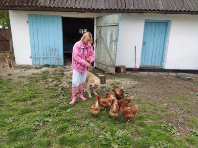 анджеліка кравець, хутір лисички, переїхала з києва до села анджеліка кравець, хутір лисички, переїхала з києва до села