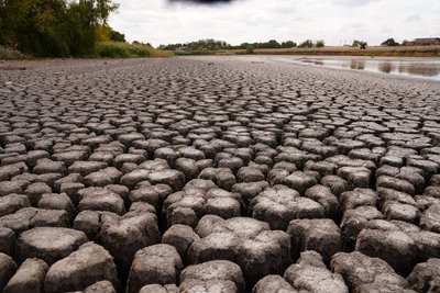 На місці ставка — калюжа: на Дніпропетровщині масово пересихають водойми. Що каже еколог На місці ставка — калюжа: на Дніпропетровщині масово пересихають водойми. Що каже еколог