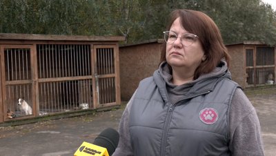 "Коли господар їде на фронт, пес Батон стресує": як в КП "Ласка" у Луцьку доглядають тварин "Коли господар їде на фронт, пес Батон стресує": як в КП "Ласка" у Луцьку доглядають тварин