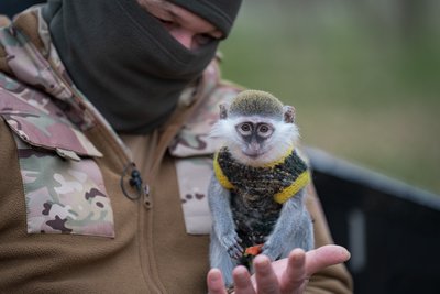 «Антистрес і талісман": в евакуаційників 128 бригади "Дике поле" живе мартишка Зіна