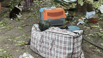 Тварини та зібрані речі подружжя для евакуації Добропілля Донецька область 14 серпня 2025 рік