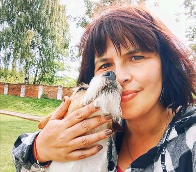Коли слова зайві: історія про те, як у Житомирі собаки допомагають людям під час війни Коли слова зайві: історія про те, як у Житомирі собаки допомагають людям під час війни