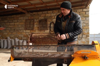 Мигдаль зі свого саду: на Одещині подружжя вирощує горіхи Мигдаль зі свого саду: на Одещині подружжя вирощує горіхи