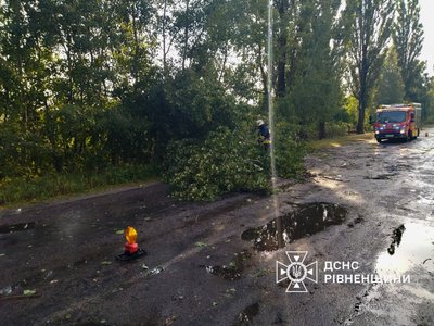 Через блискавку виникли три пожежі. Пошкоджені покрівлі будинків та повалені дерева. Які наслідки негоди на Рівненщині Через блискавку виникли три пожежі. Пошкоджені покрівлі будинків та повалені дерева. Які наслідки негоди на Рівненщині