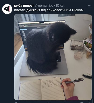 як українці писали радіодиктант