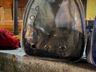 Війська РФ атакували Дніпро: сталася пожежа у багатоповерхівці, є поранені, врятовано шістьох людей Війська РФ атакували Дніпро: сталася пожежа у багатоповерхівці, є поранені, врятовано шістьох людей