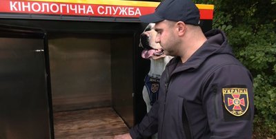 «Потрібно розуміти їх мову жестів»: хмельницький рятувальник-кінолог Павло Шурко про свою роботу «Потрібно розуміти їх мову жестів»: хмельницький рятувальник-кінолог Павло Шурко про свою роботу
