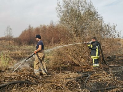 "Вогонь на великій глибині": на Полтавщині майже у сім разів збільшилась кількість торф’яних пожеж "Вогонь на великій глибині": на Полтавщині майже у сім разів збільшилась кількість торф’яних пожеж