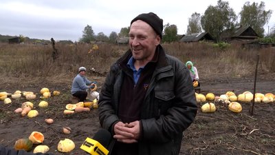 "Дуже страшно — дрон летить, ми вибираємо": як в Архипівці на Чернігівщині під обстрілами збирають гарбузове насіння "Дуже страшно — дрон летить, ми вибираємо": як в Архипівці на Чернігівщині під обстрілами збирають гарбузове насіння