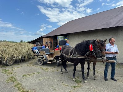 Гуцул, порода, бричка, нацпарк "Гуцульщина", кінь, Івано-Франківщина, Центр гуцульського коня "Гуцулик" Гуцул, порода, бричка, нацпарк "Гуцульщина", кінь, Івано-Франківщина, Центр гуцульського коня "Гуцулик"