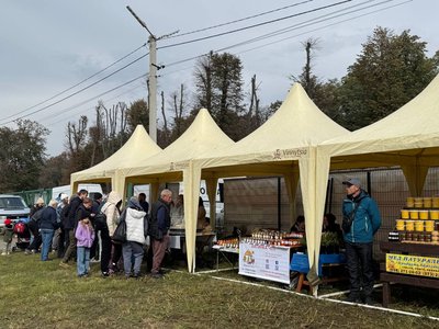 У Вінниці стартував регіональний сільськогосподарський ярмарок "Овочевий ринок" У Вінниці стартував регіональний сільськогосподарський ярмарок "Овочевий ринок"