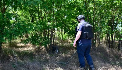 Снаряди у траві: ДСНС на Миколаївщині знищила два боєприпаси Снаряди у траві: ДСНС на Миколаївщині знищила два боєприпаси