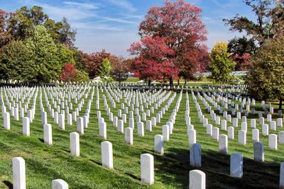 Одна з ділянок Арлінгтонського національного цвинтаря у США Володимир В'ятрович інтерв'ю Одна з ділянок Арлінгтонського національного цвинтаря у США Володимир В'ятрович інтерв'ю