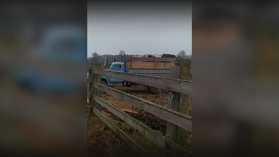 Як виживають ферми на прикордонні Чернігівщини