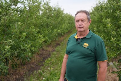 У Дніпрі здорожчали яблука до 80-100 гривень за кілограм: в чому причина та чи подешевшають