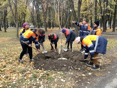 Більше 250 дерев та 300 кущів висадять цієї осені в Полтаві