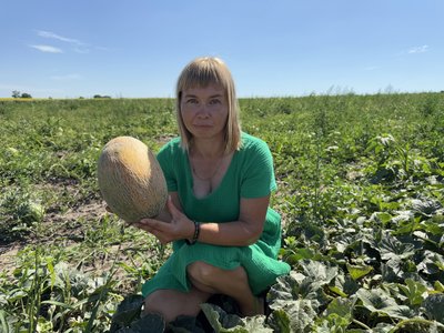 Вага найбільшого кавуна — майже 15 кг: як фермер на Роменщині вирощує кавуни та дині Вага найбільшого кавуна — майже 15 кг: як фермер на Роменщині вирощує кавуни та дині