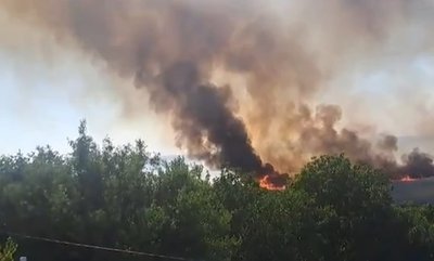 "Найбільший екологічний експеримент". Що на місці Каховського водосховища за майже три роки після підриву ГЕС "Найбільший екологічний експеримент". Що на місці Каховського водосховища за майже три роки після підриву ГЕС
